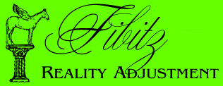fibitz reality adjustment