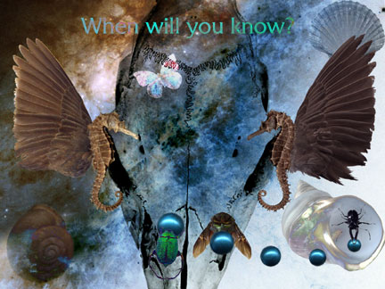When Will You Know?
